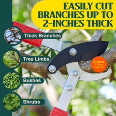 Haus & Garten loppers cutting a 2-inch branch demonstrating effortless pruning