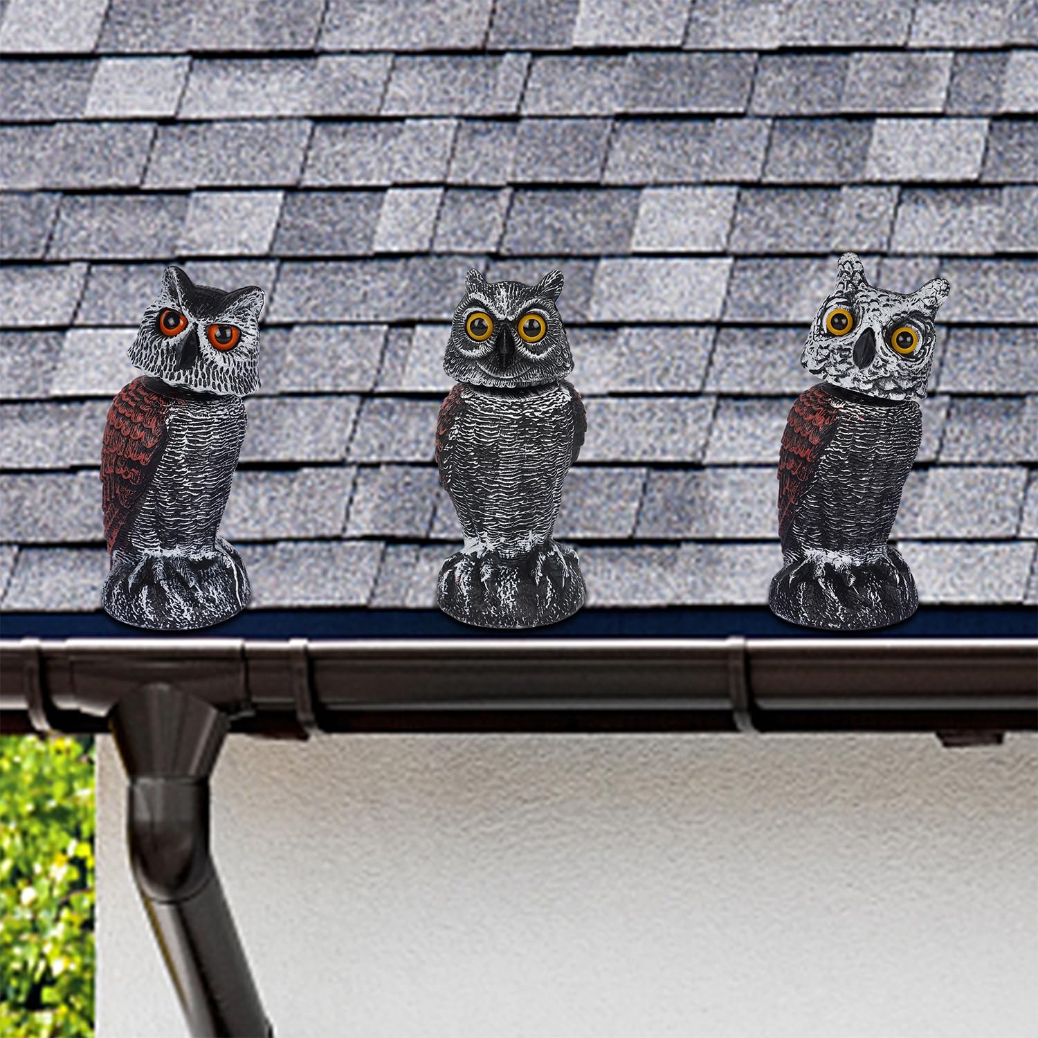 Hausse owl mounted on stake in vegetable garden protecting plants