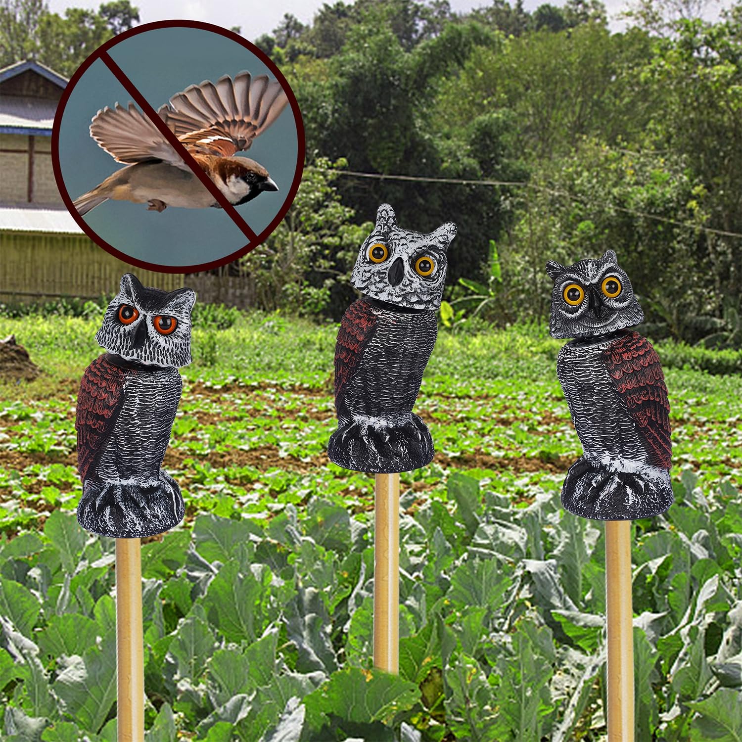 Hausse owl used as patio decor and pest deterrent enhancing outdoor space