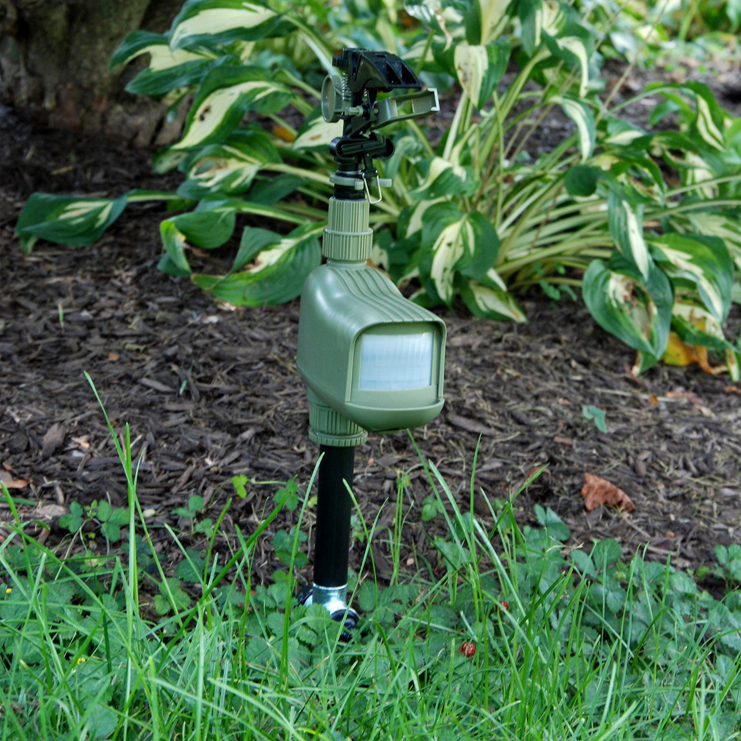 HAVAHART installed in backyard illustrating humane animal deterrence and landscaping benefit