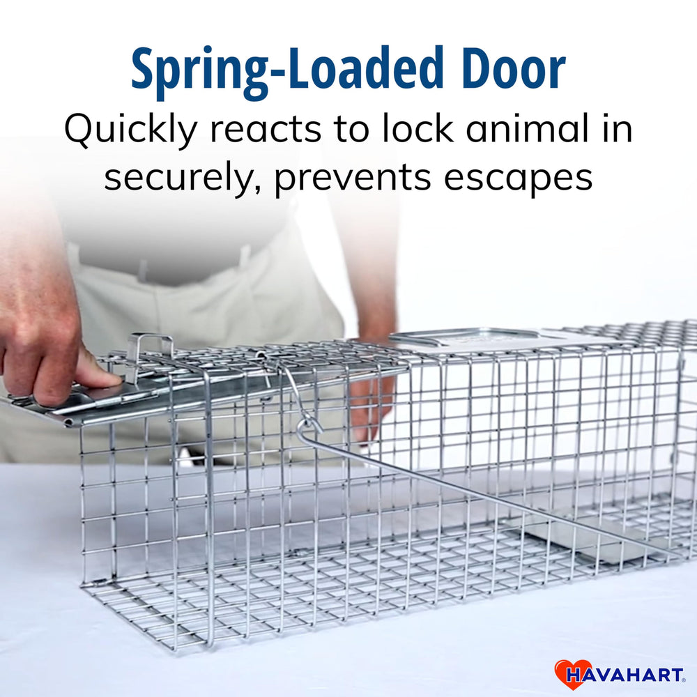 HAVAHART trap with foot beside it showing scale for sizing convenience