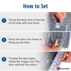 HAVAHART trip plate mechanism close-up showing professional trigger reliability