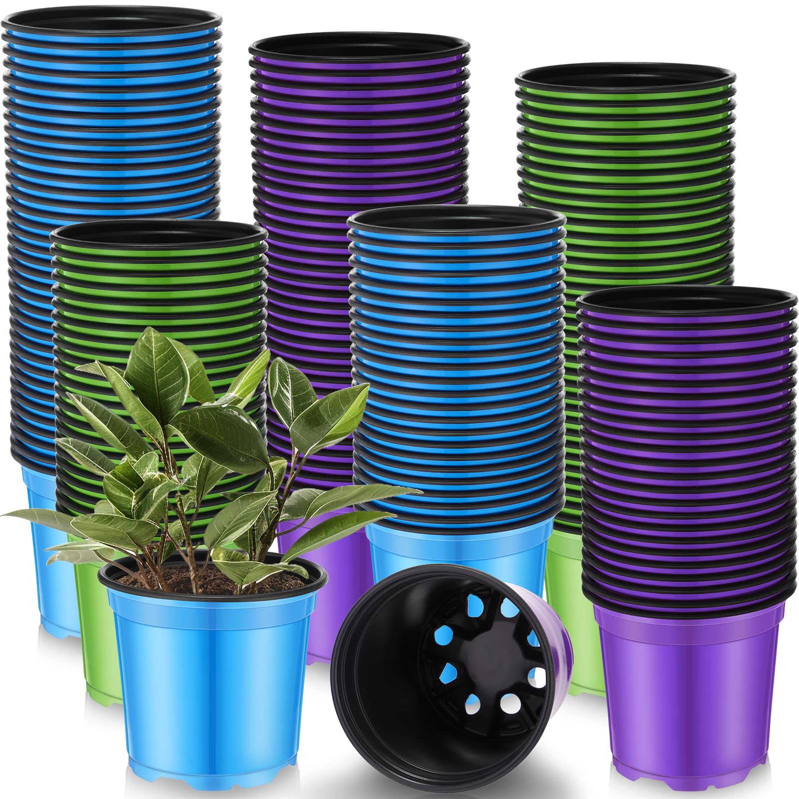 Havawish front view of 150 multicolor nursery pots showing tidy bulk storage and organization benefit