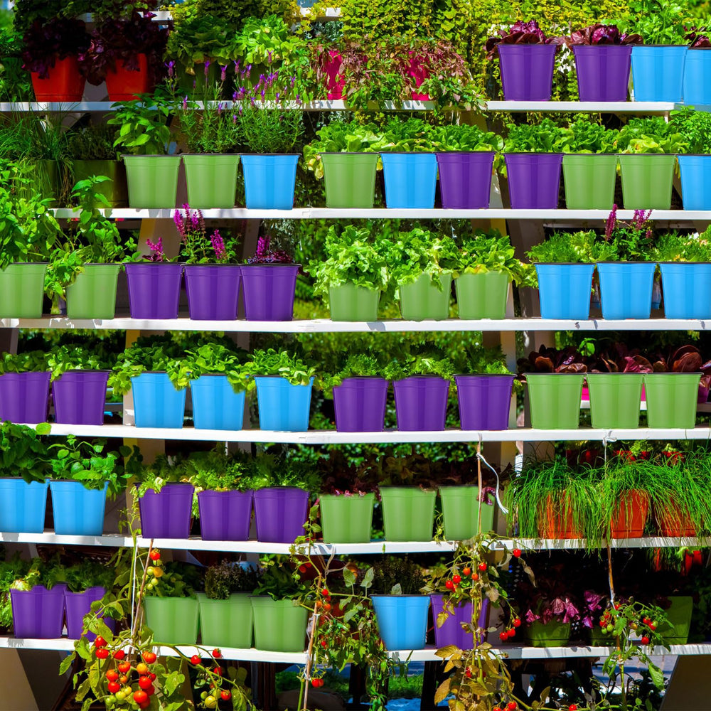 Havawish pot held in hand to show 4-inch scale and space-saving footprint benefit