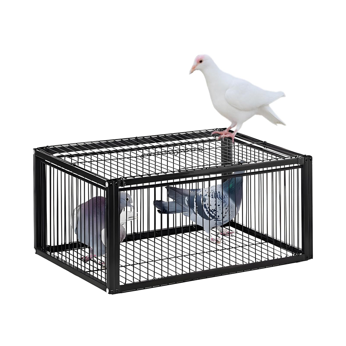 HAYLILUYOO front view of pigeon trap showing full cage and entrances, secure containment benefit