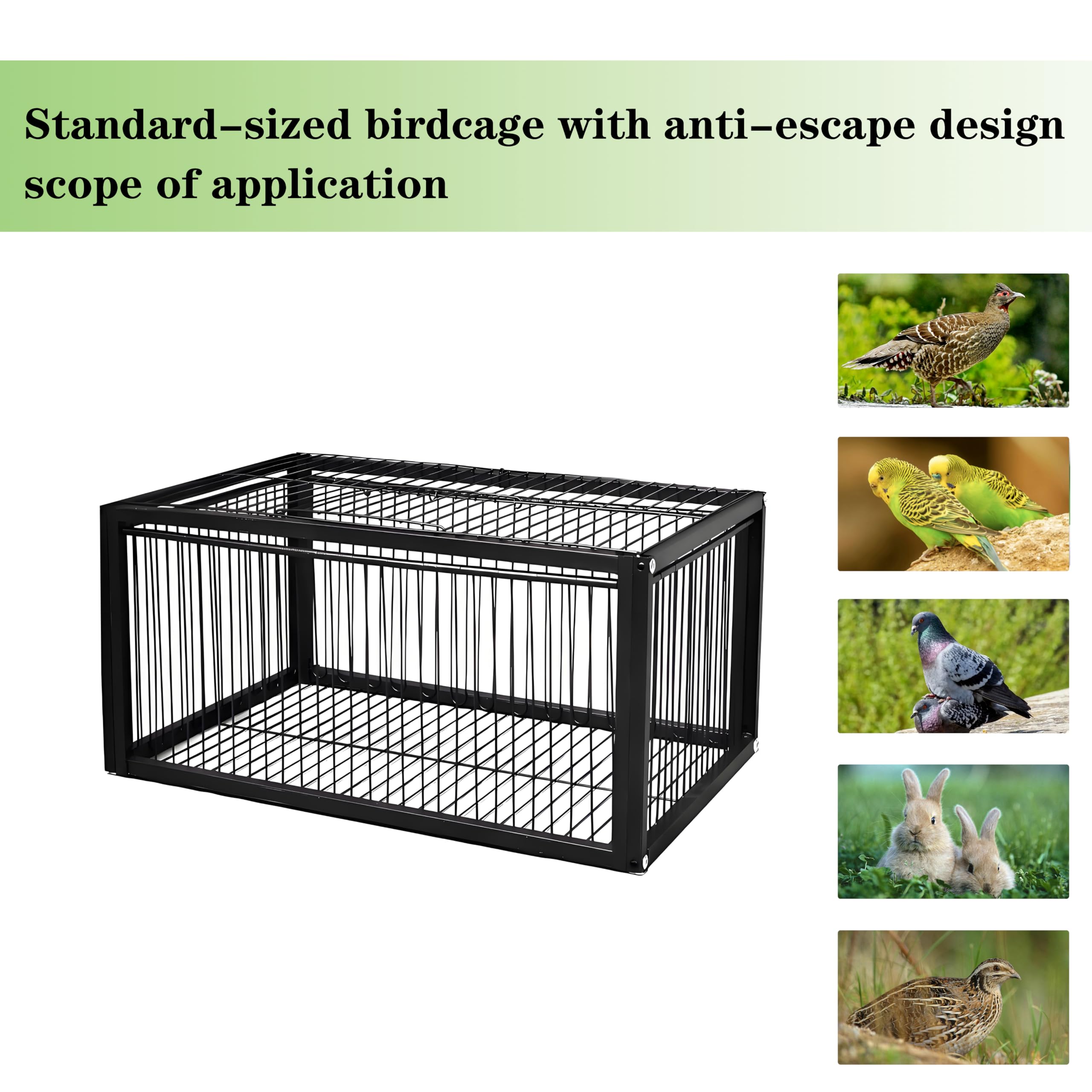 HAYLILUYOO top skylight access open to remove birds easily and reduce handling stress