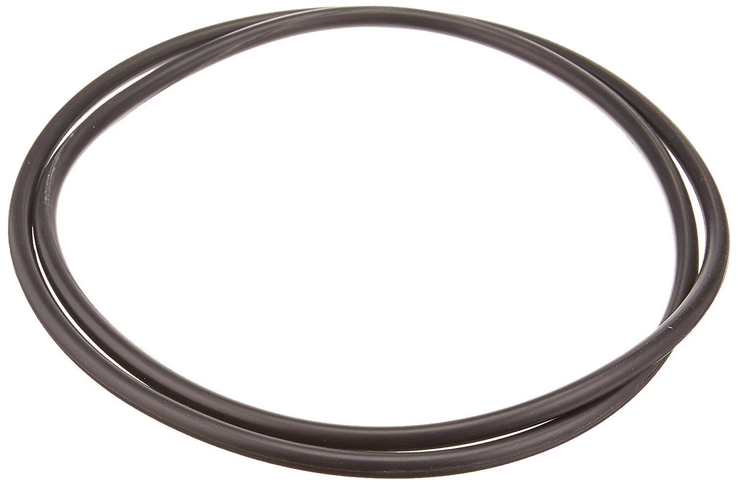 Hayward body O-ring front view showing correct fit and leak prevention