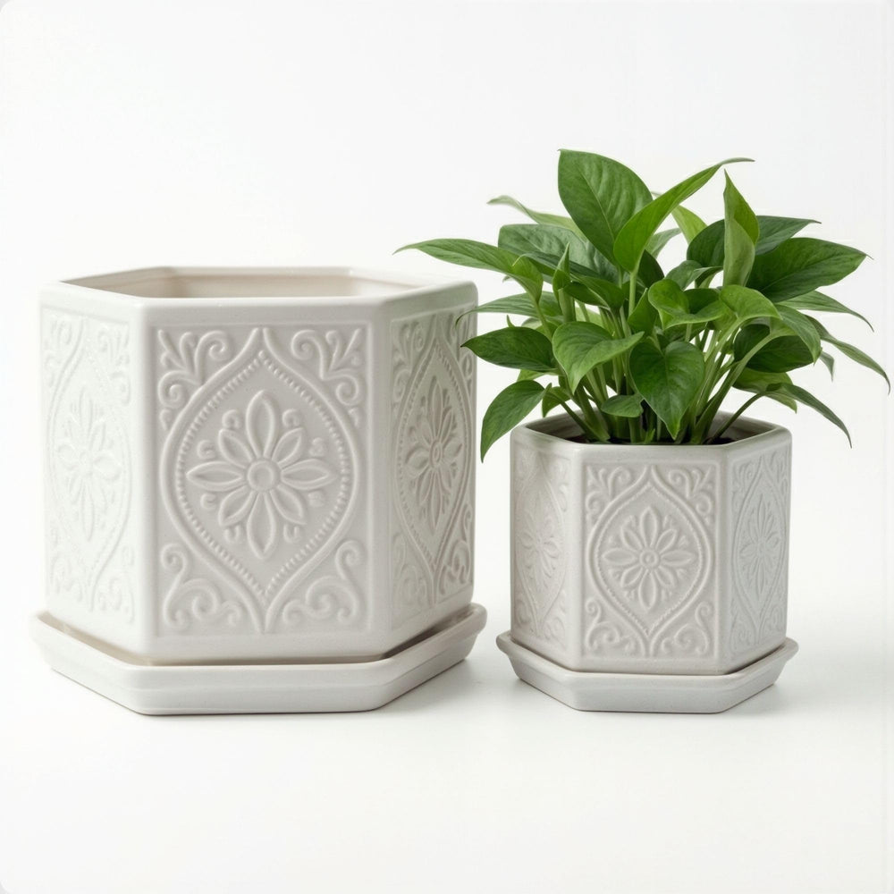 HB Design Co. front view of two white ceramic pots showing clean appeal and suitability for display