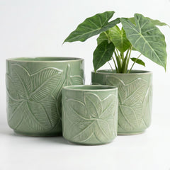HB Design Co. front view of three green ceramic pots, neat display benefit