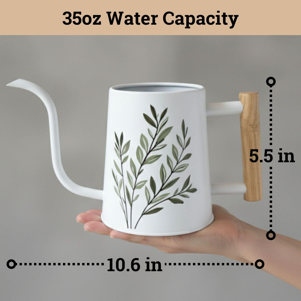 HB Design Co. watering a hanging plant demonstrating reach and spill-free control