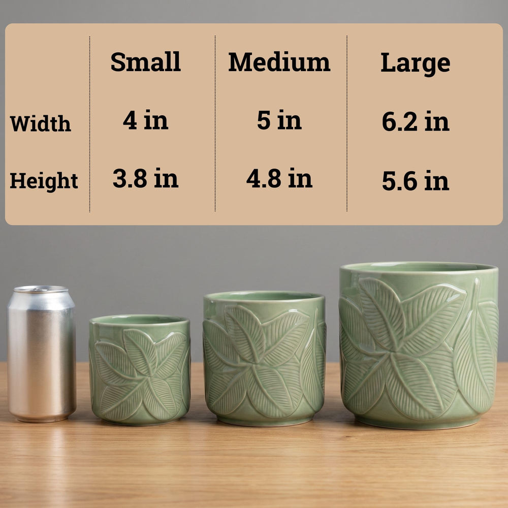 HB Design Co. pots on windowsill with plants, enhances indoor greenery