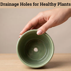 HB Design Co. drain plug and mesh accessories neatly arranged, mess-free indoor use