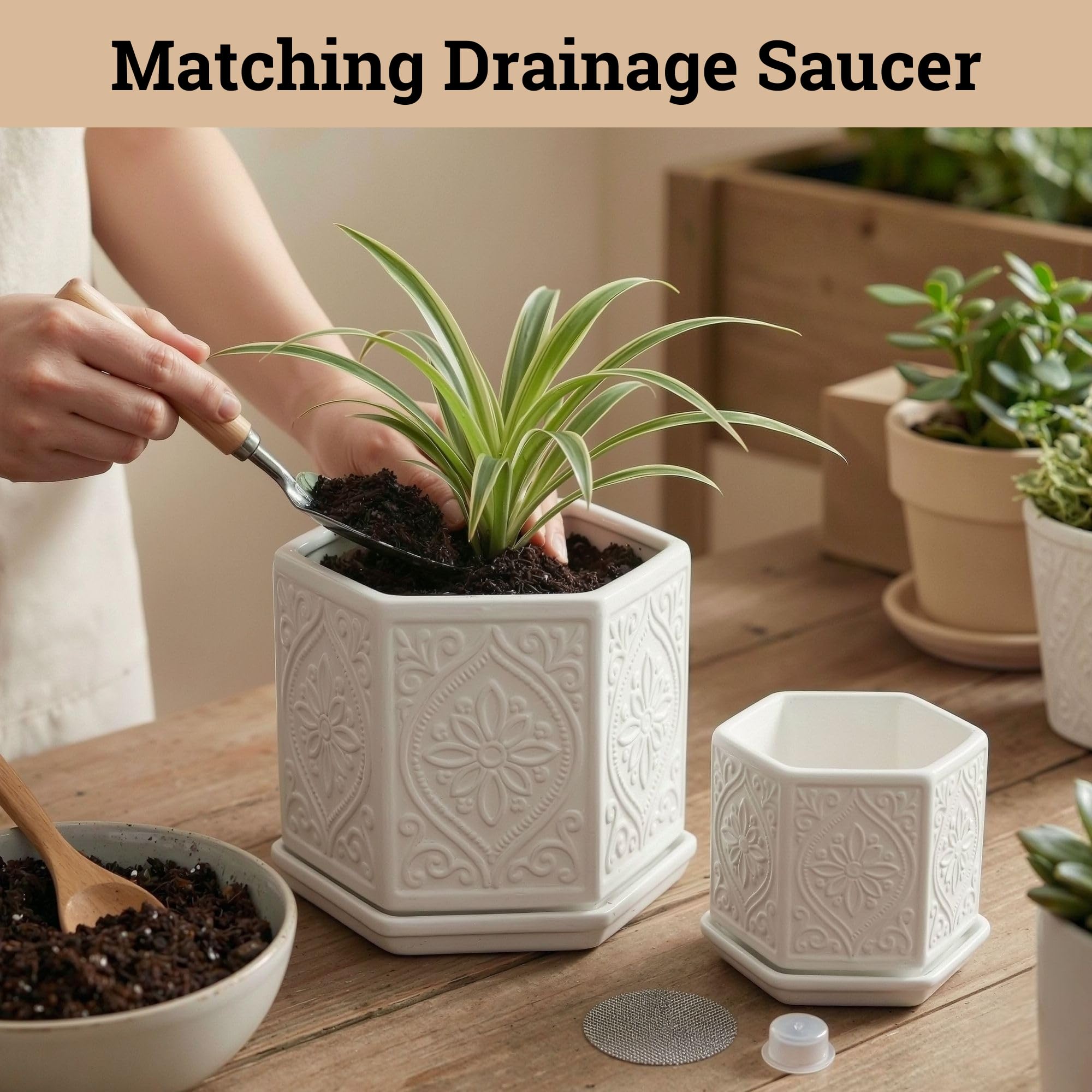 HB Design Co. matched pots styled on a shelf adding modern geometric interest