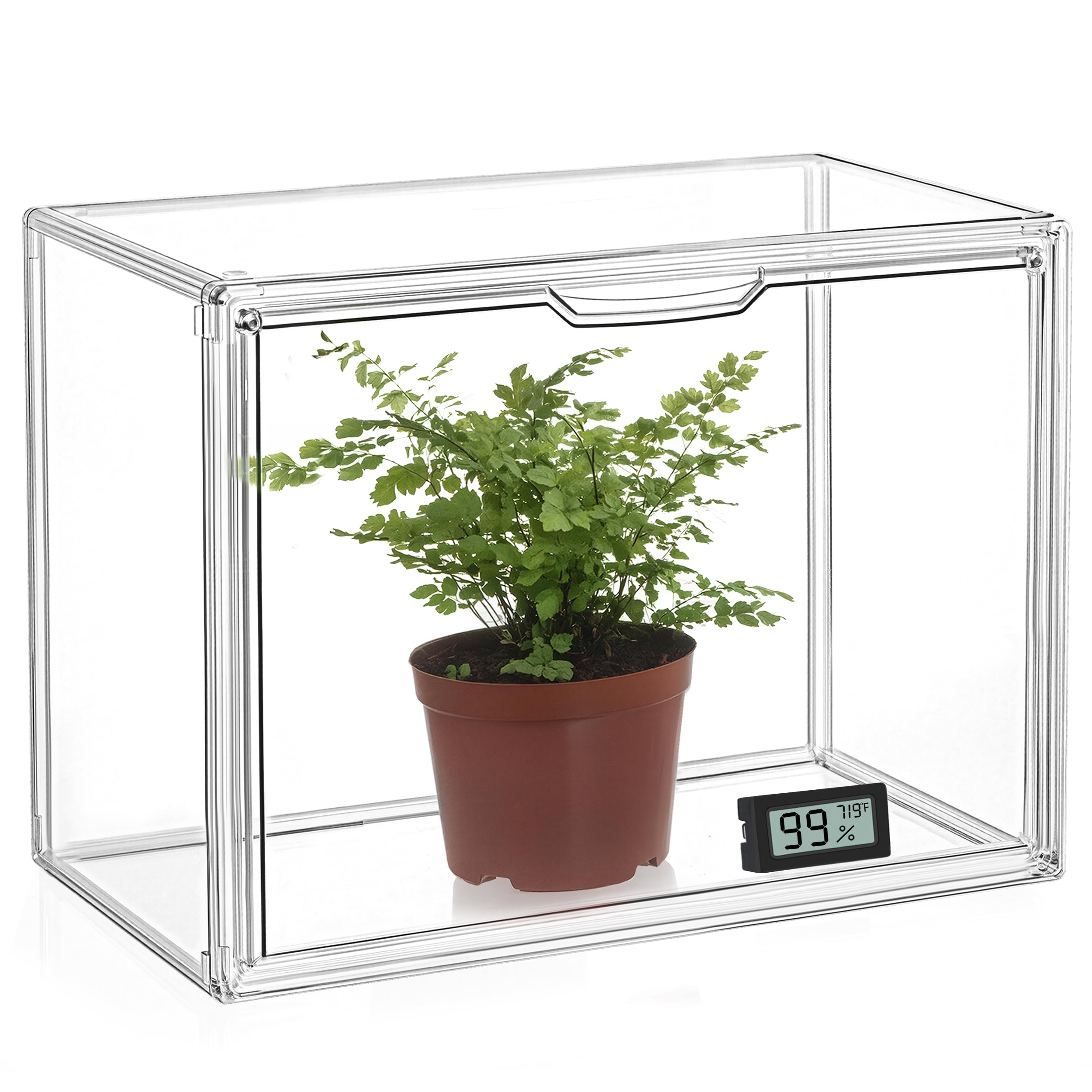 HBlife mini greenhouse front view showing clear casing and plant protection