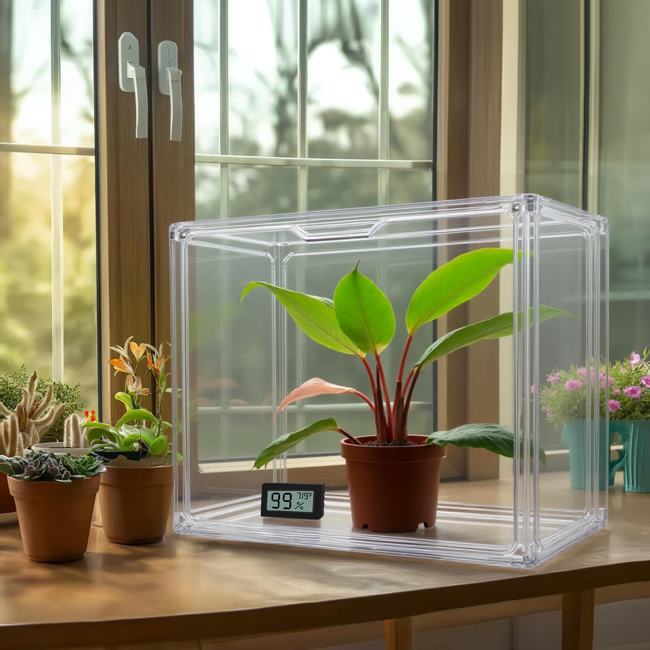 HBlife mini greenhouse packaging with included gloves for clean, tool-free assembly