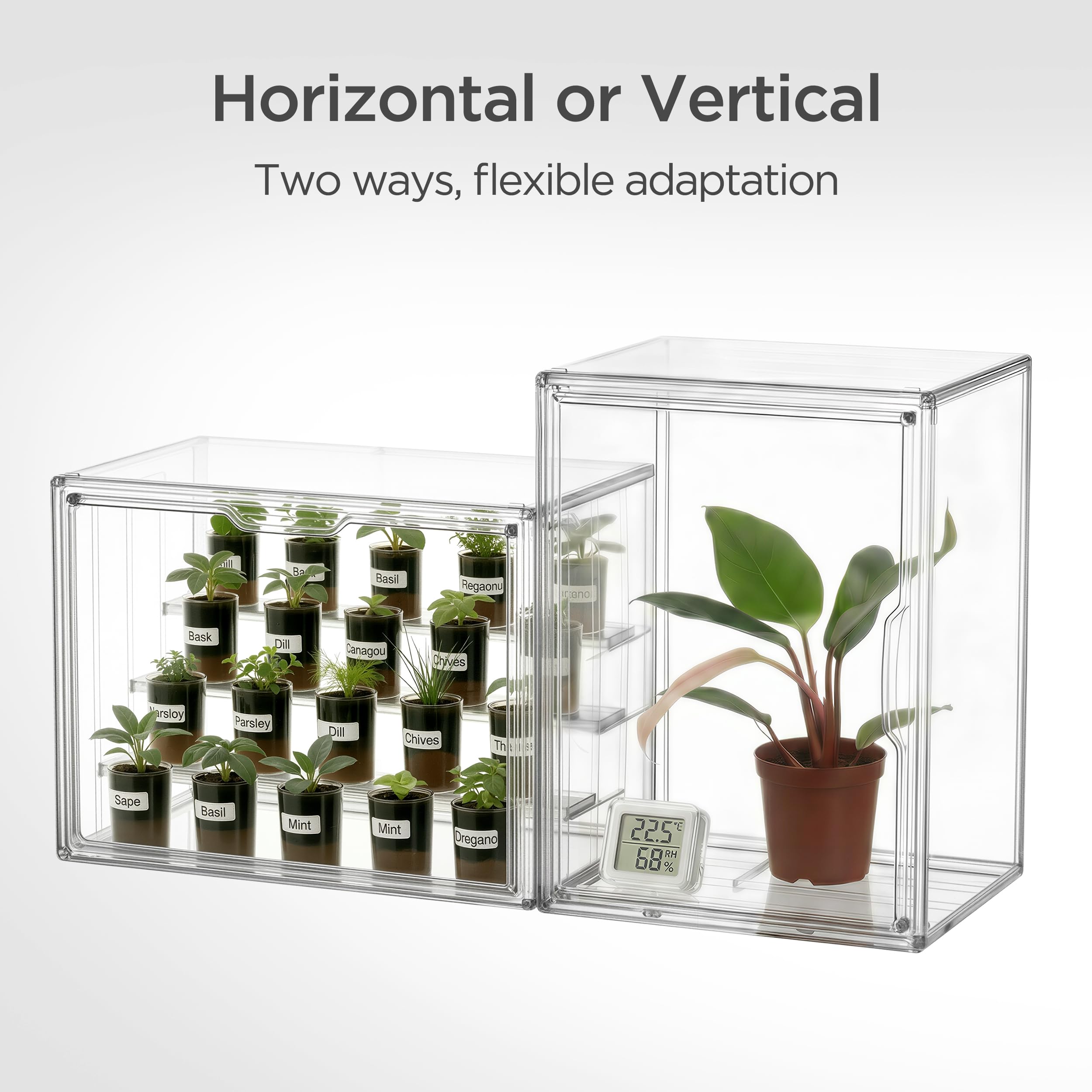 HBlife tabletop greenhouse in a kitchen setting for neat indoor plant display benefit