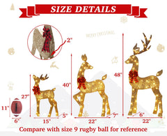 HbSpacstial deer next to person showing scale and yard placement benefit