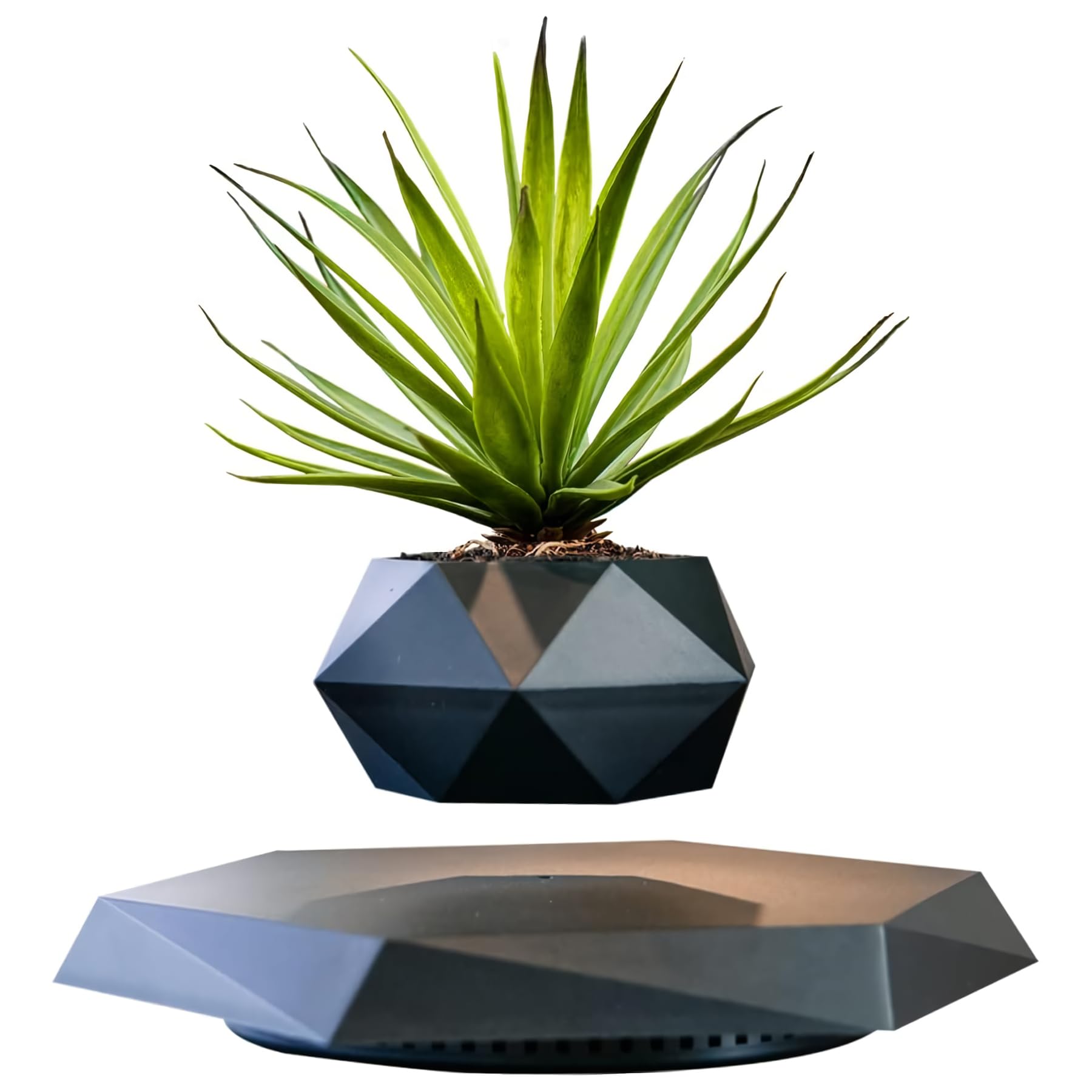 HCNT floating pot front view showing clean design and elegant greenery