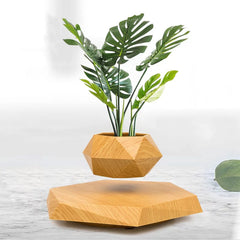 HCNT levitating pot front view showing floating plant and modern style