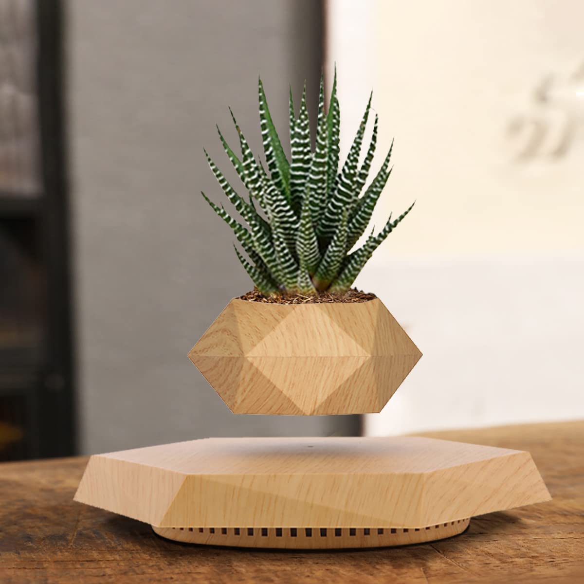 HCNT levitating pot staged in living room adding calming green decor