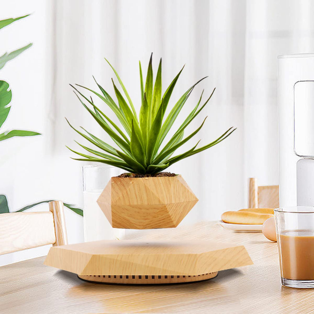 HCNT levitating pot with succulent demonstrating compact plant compatibility