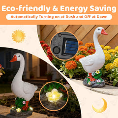HDNICEZM solar panel and LEDs on base showing hands-free night lighting benefit