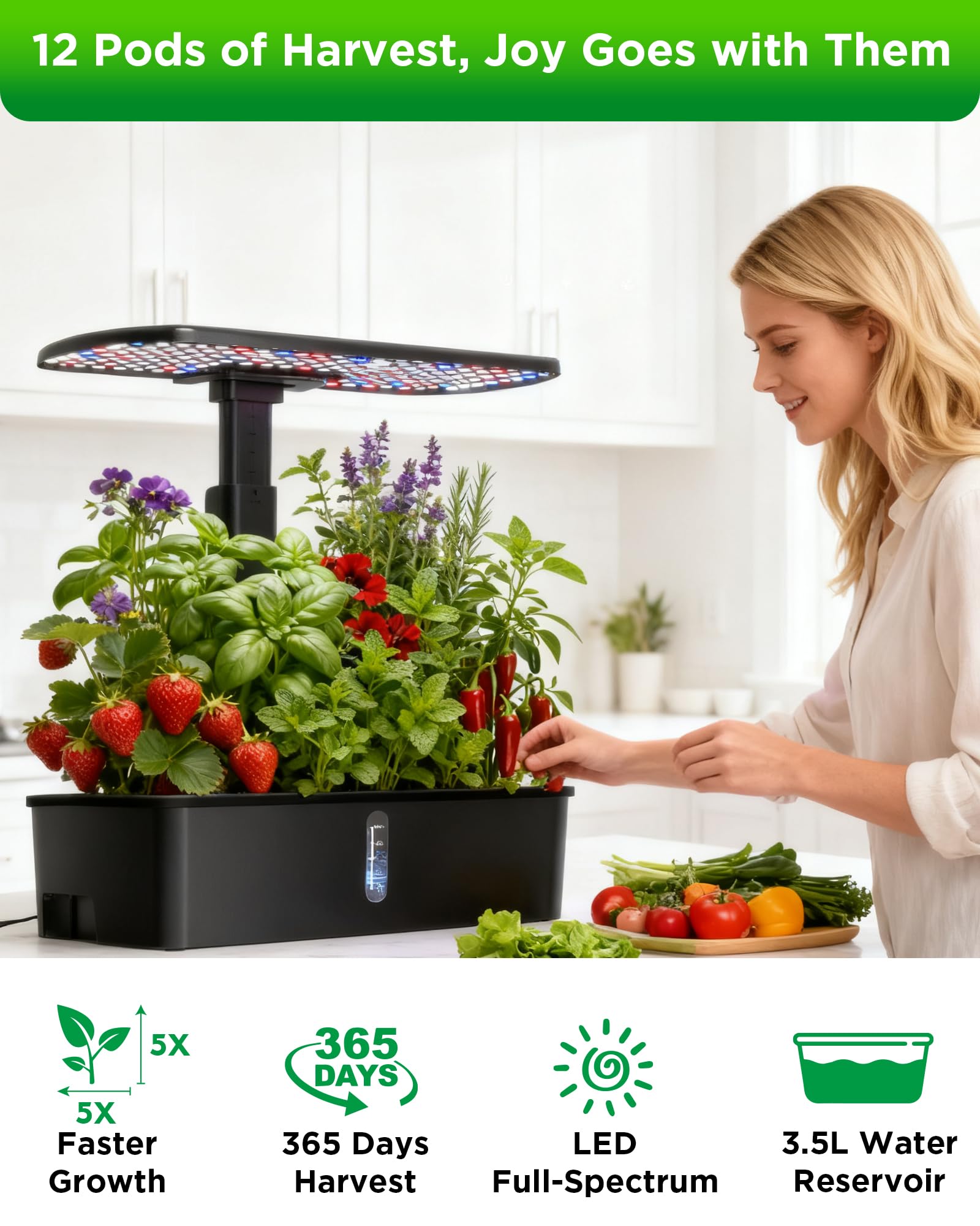 hdroor closeup of 12‑pod tray highlighting seed holes and easy planting