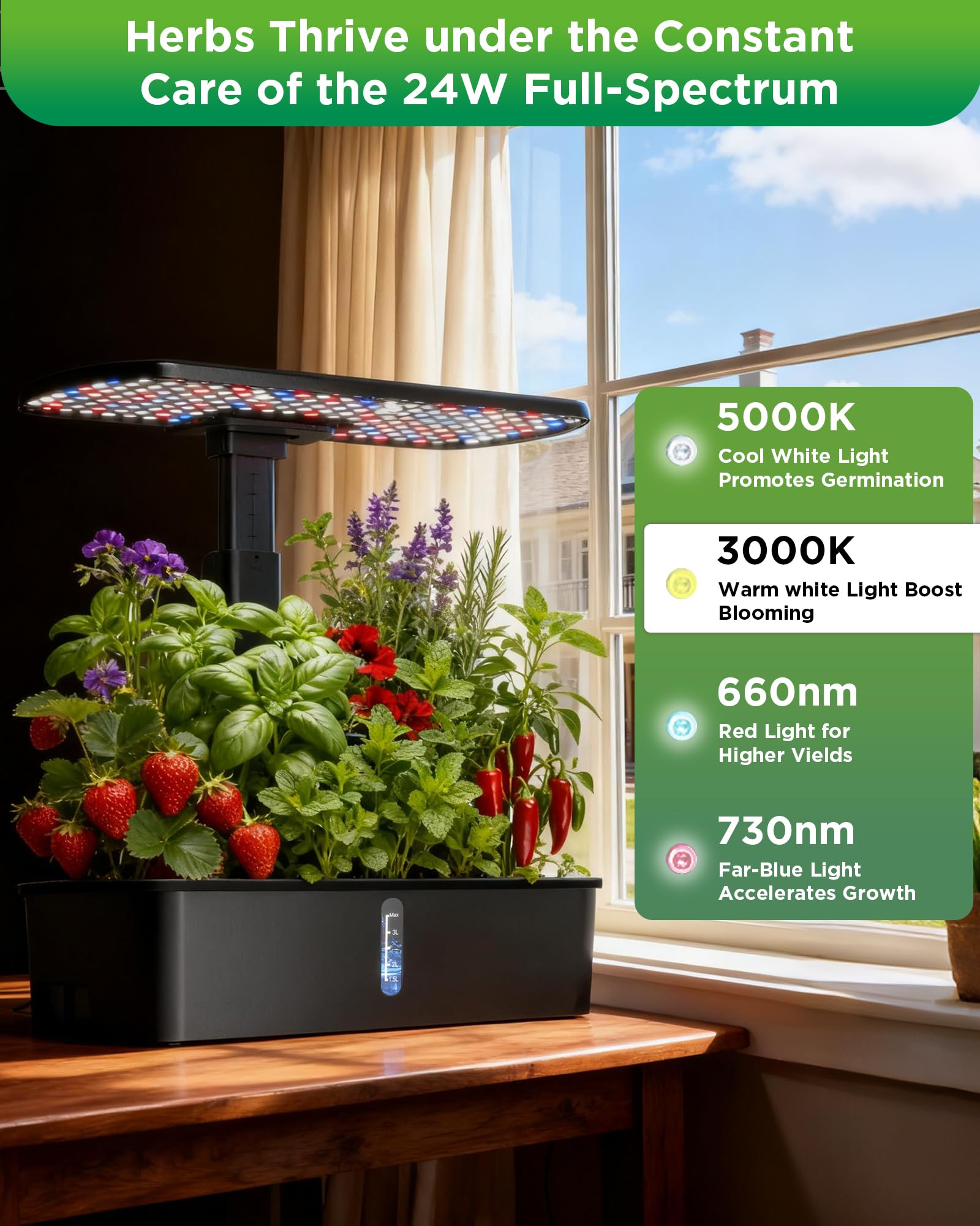 hdroor herbs in full growth on kitchen counter illustrating fresh year‑round produce
