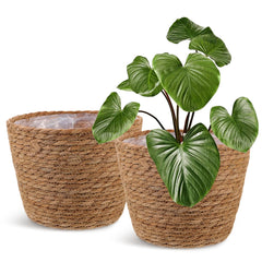 Healifty front view of two woven seagrass planter baskets showing rustic appeal and protection