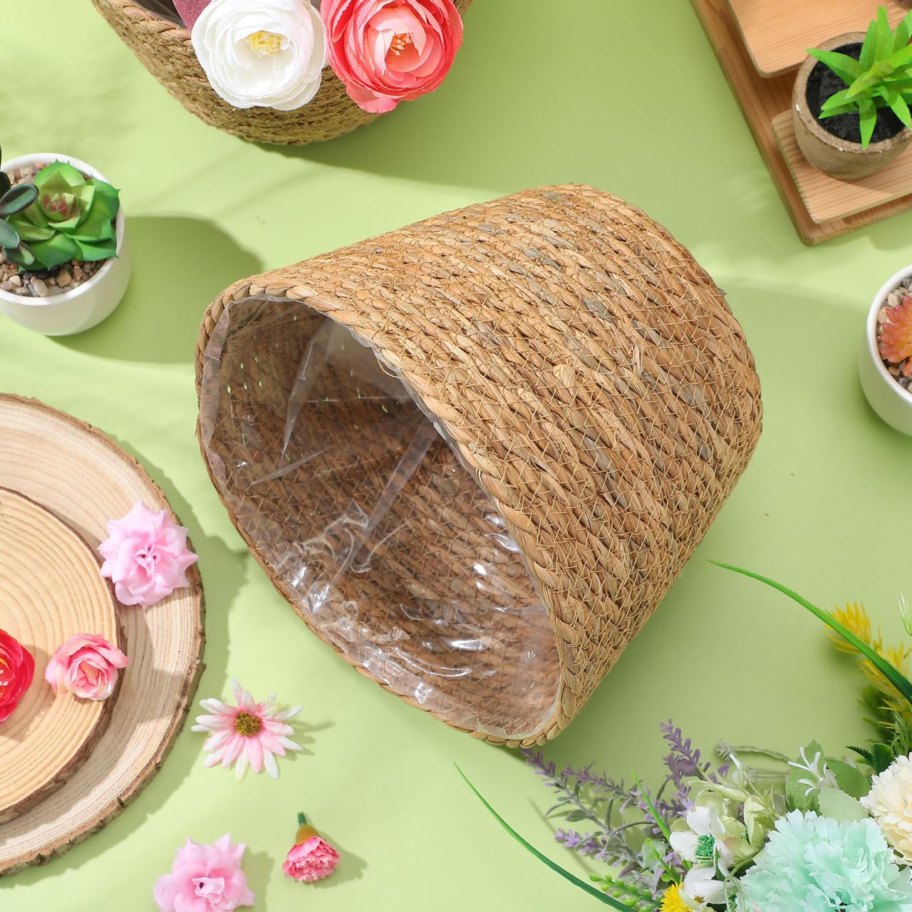 Healifty styled on boho shelf with plants and decor conveying cozy, natural interior styling