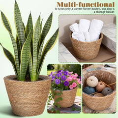 Healifty basket held by hand for scale demonstrating compact lightweight portability