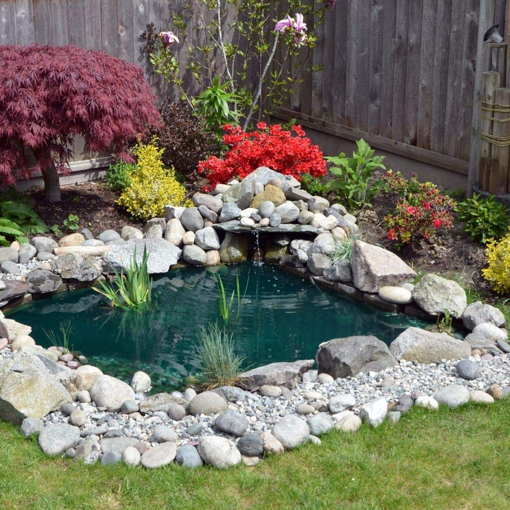 Healthy Ponds packet beside measuring gauge showing one packet treats up to 2,500 gallons