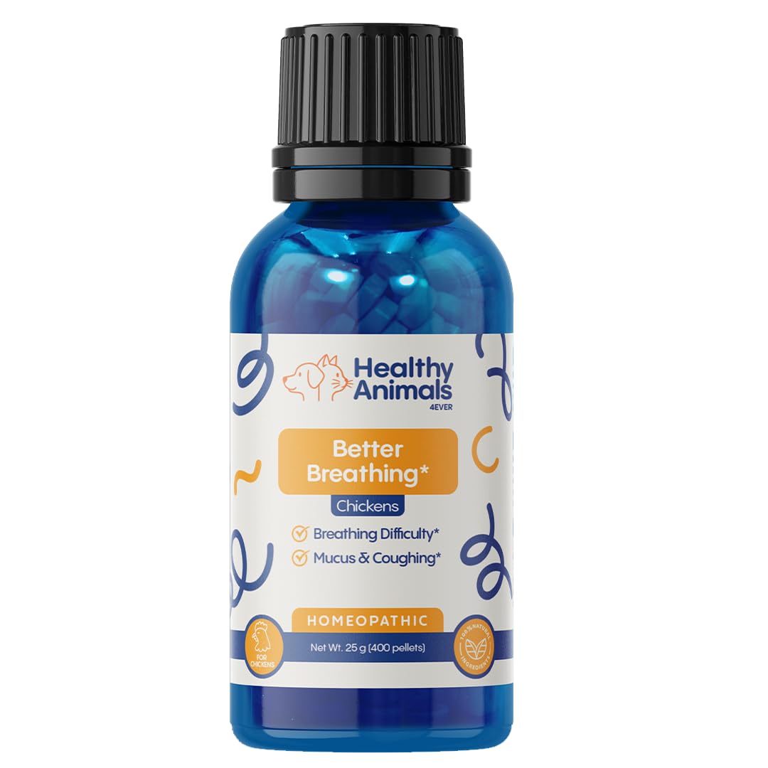 HealthyAnimals4Ever supplement offered near backyard chickens in natural setting