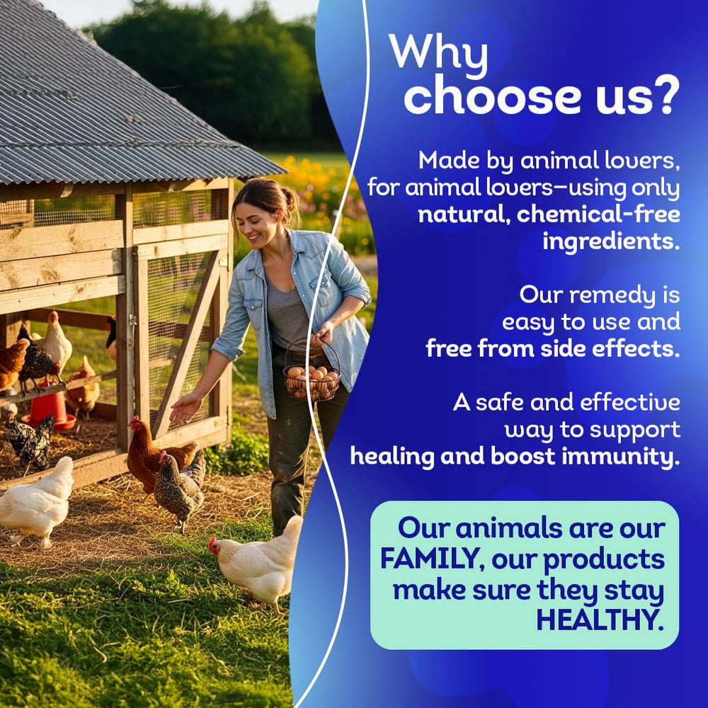 HealthyAnimals4Ever supplement used by a chicken showing improved comfort