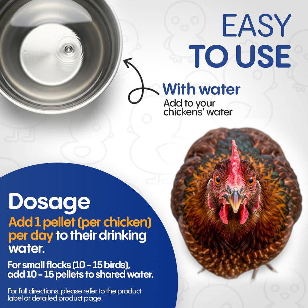HealthyAnimals4Ever tablet dissolving in water for effortless flock dosing