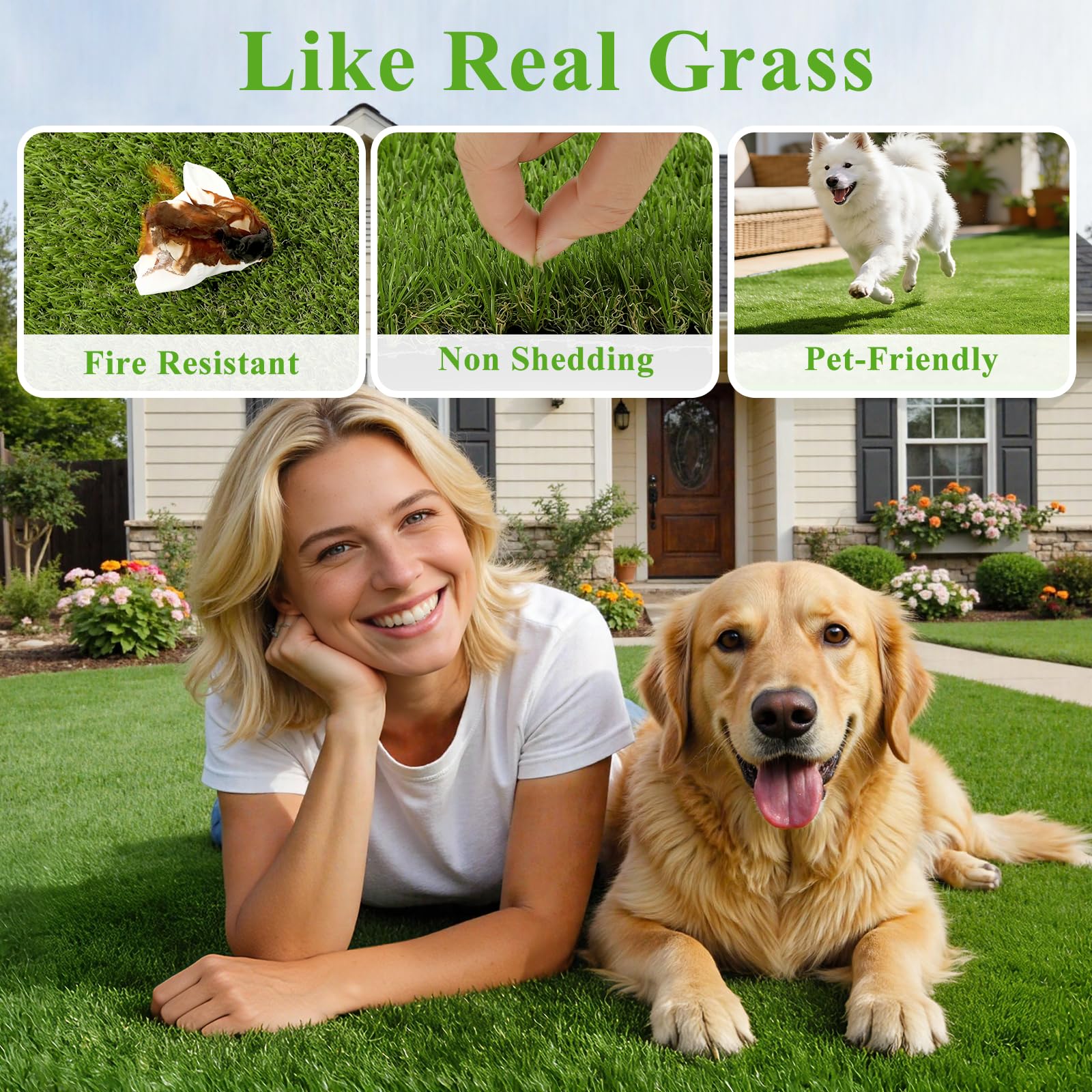 HEBE RUGS used in a pet area showing comfortable surface and easy cleanup advantage