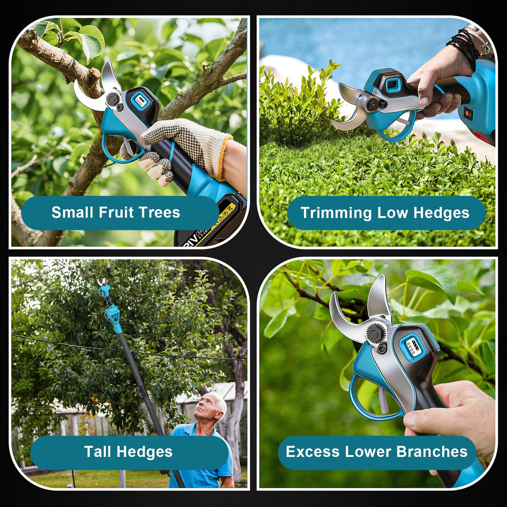 HECUSAM pruning in use trimming high branch to avoid ladders and increase safety