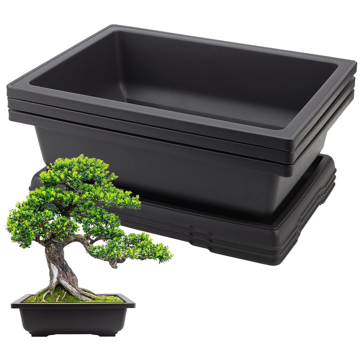 HEIHAK front view of rectangular bonsai pot showing shape and stability