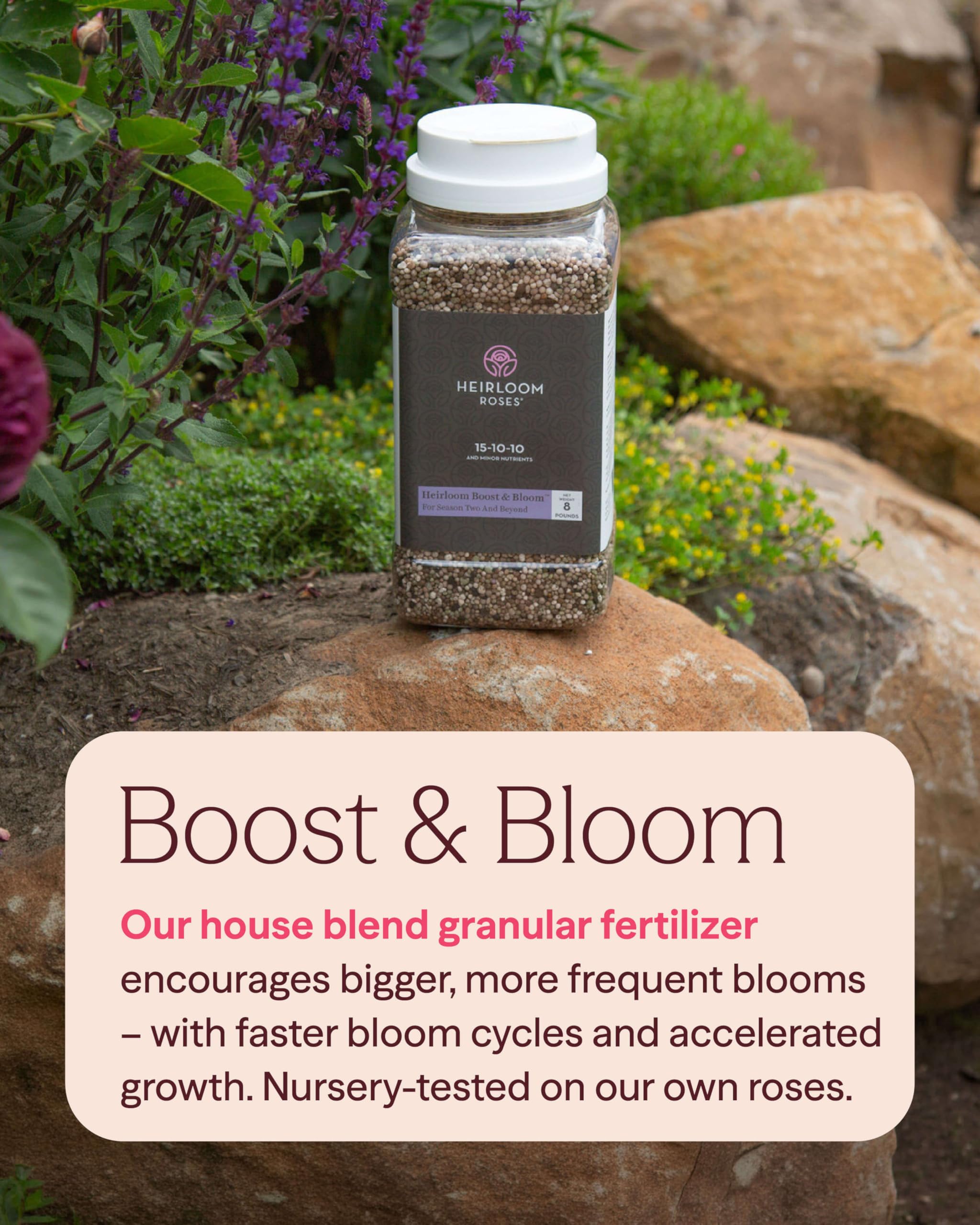 Heirloom Roses granular texture close-up illustrating slow-release particles and even nutrient delivery