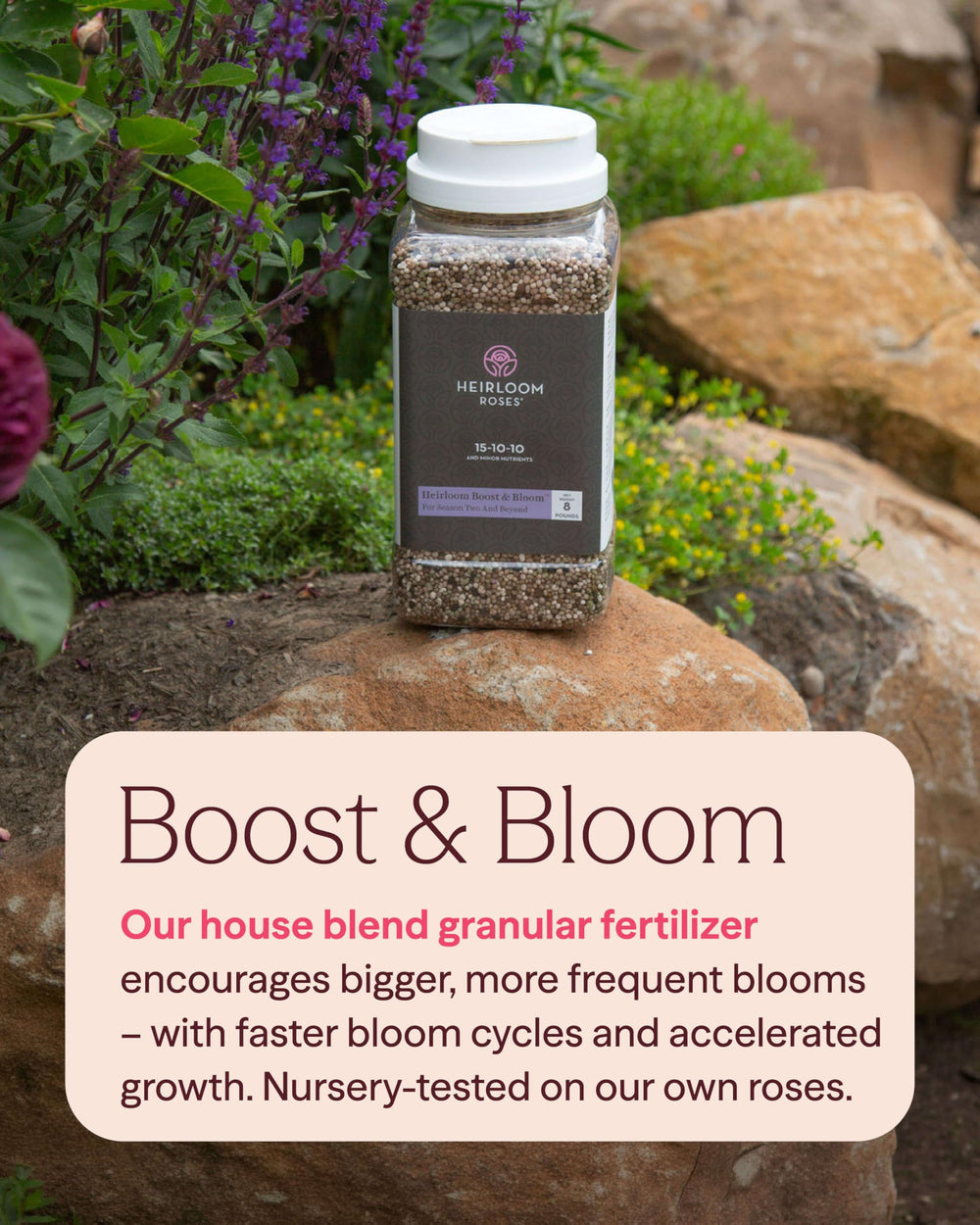 Heirloom Roses granular texture close-up illustrating slow-release particles and even nutrient delivery