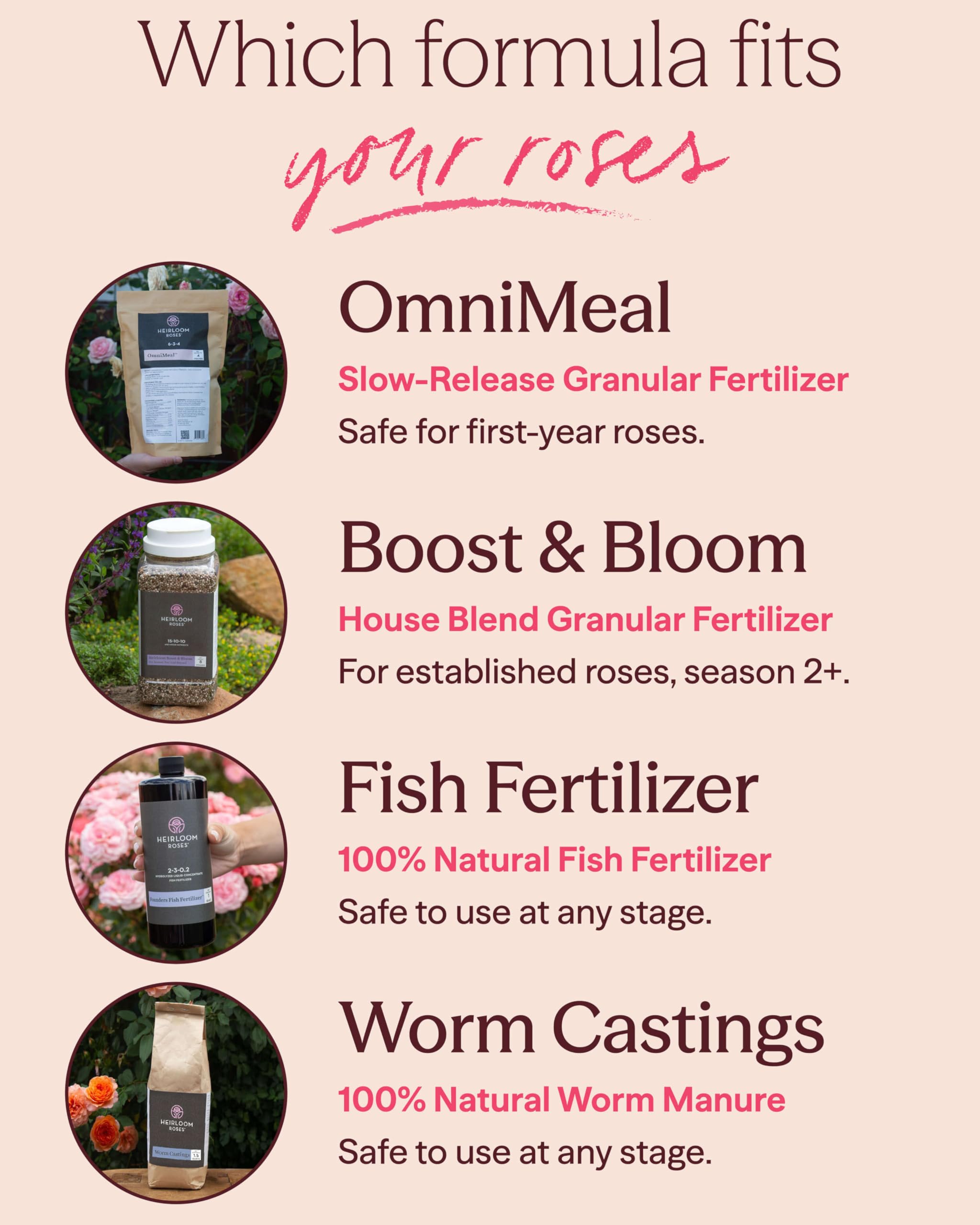 Heirloom Roses label close-up highlighting natural ingredients and application tips for users