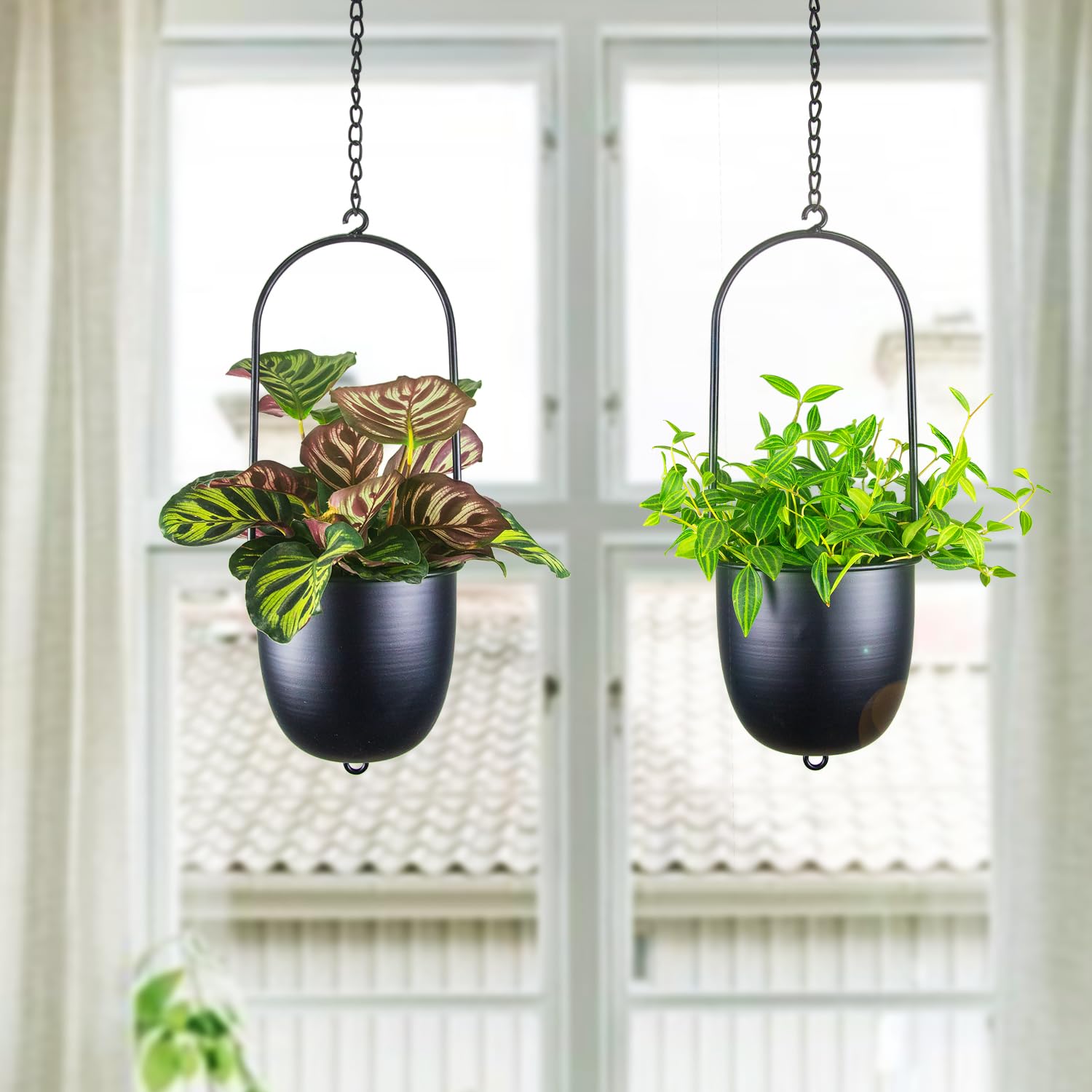 HemePaha ceiling-suspended planters grouping to add elevated greenery overhead
