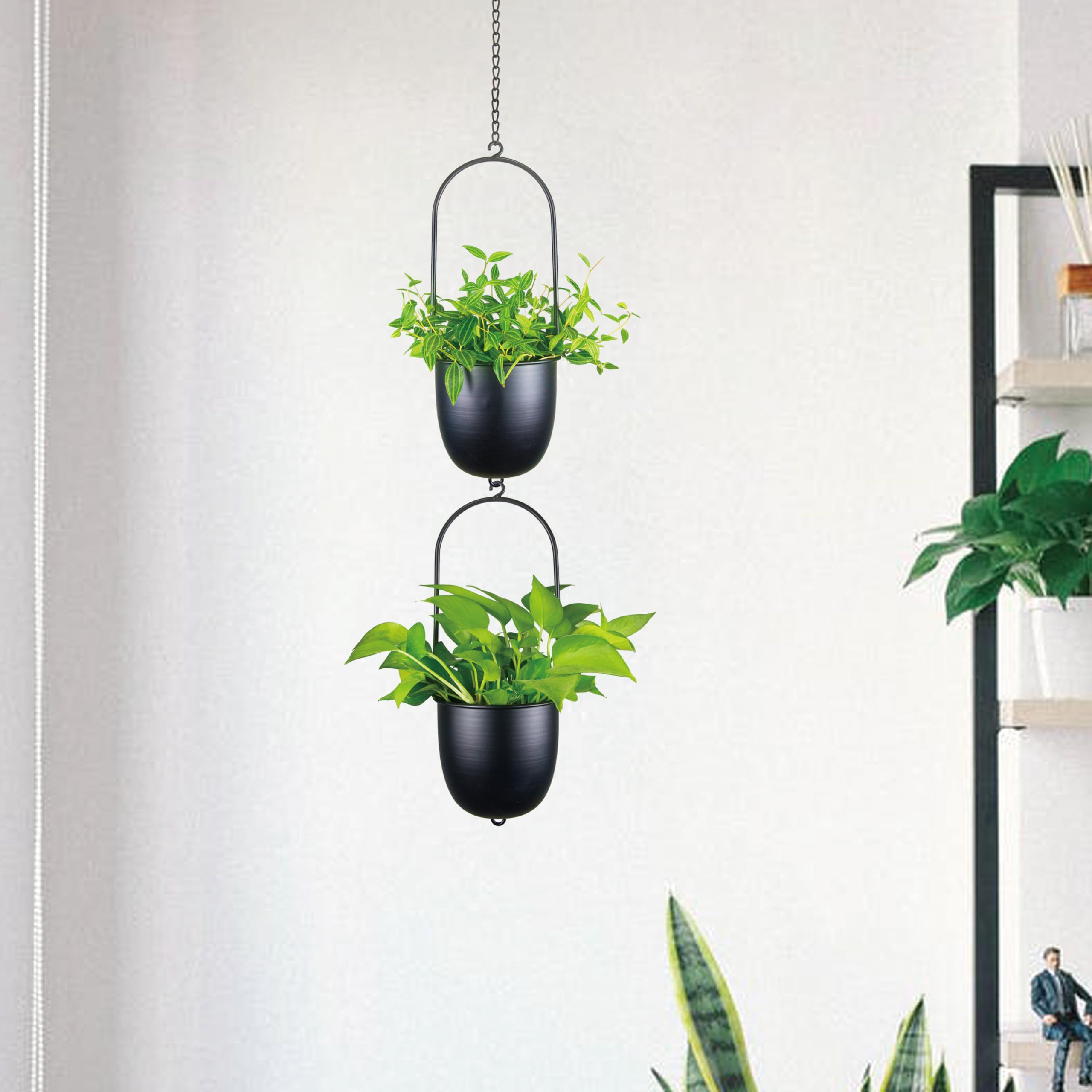 HemePaha wall-mounted planters creating sculptural plant display for interiors