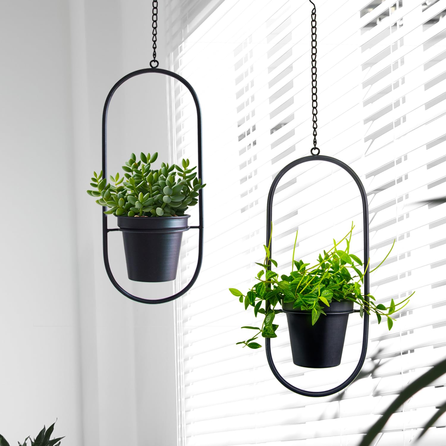 HemePaha ceiling-hung planters in a living room highlighting decorative and functional use