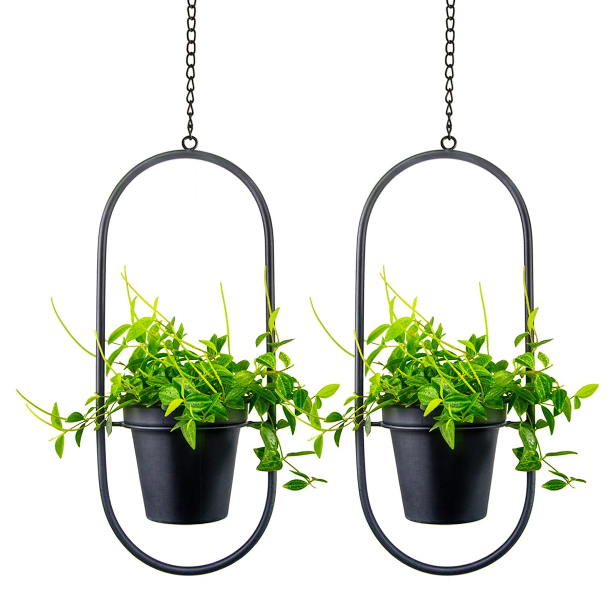 HemePaha front view of oval hanging planters showing sculptural display and space-saving benefit