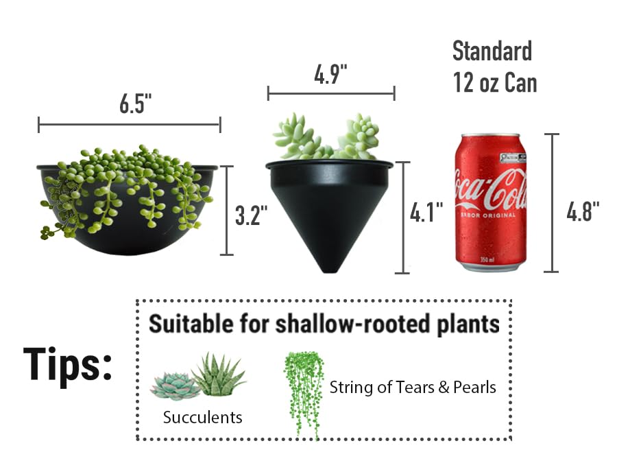 HemePaha round arch shallow pot showing depth ideal for succulents and small herbs