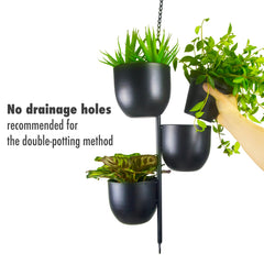 HemePaha displayed in living room showing layered greenery and modern decor benefit