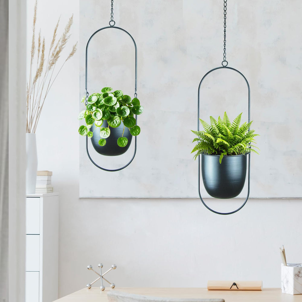 HemePaha planter holding pothos in living room adding vertical greenery benefit