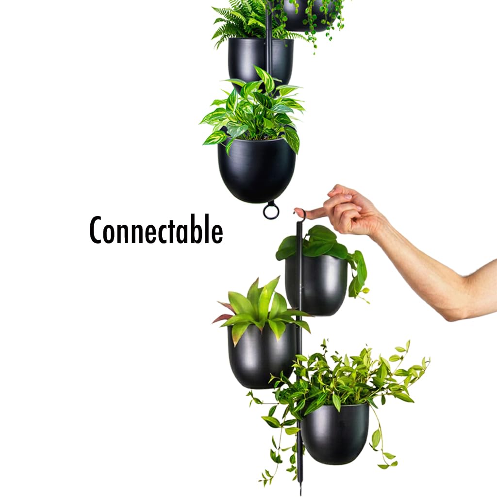 HemePaha with hand for scale showing compact vertical footprint and easy handling