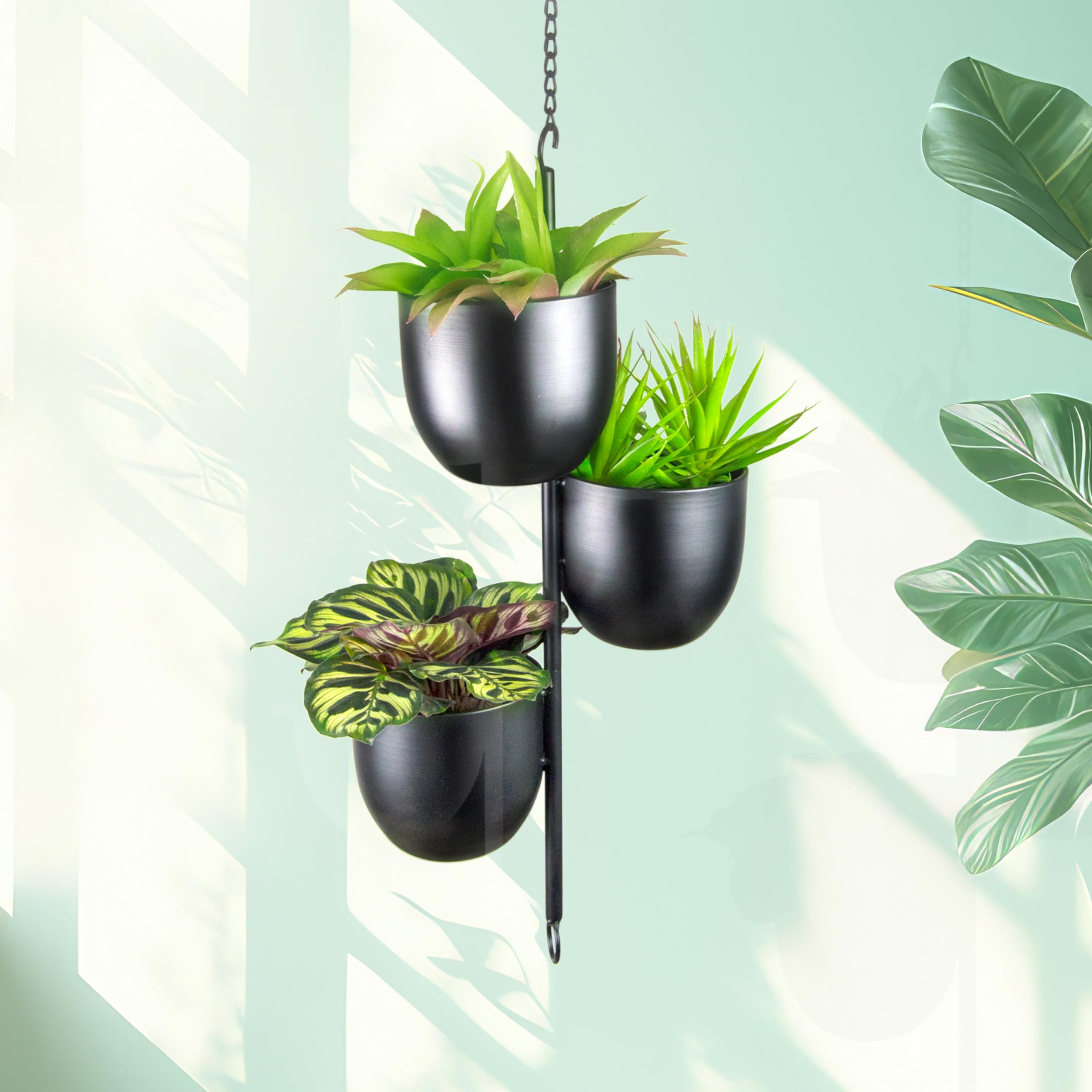 HemePaha connected units example showing cascading modular green wall capability